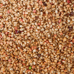 インフューズドコーヒーとは？香りを楽しむ新しいコーヒー体験