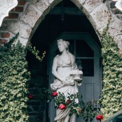 建築とカフェ文化の関係 ｜なぜカフェは「長居したくなる空間」になったのか