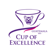 【COE＃2】世界が選んだ一杯を Guatemala Bella Elizabeth  Cup of Excellence One of a Kind 第2位