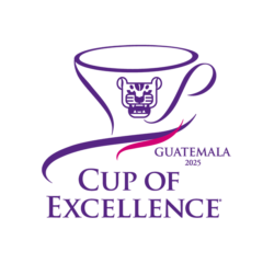 【COE＃2】世界が選んだ一杯を Guatemala Bella Elizabeth  Cup of Excellence One of a Kind 第2位