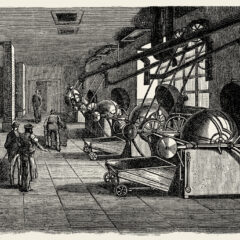 苦味は、いつ「欠点」から「価値」になったのか