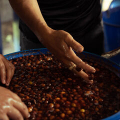 コーヒーは一人では作れない